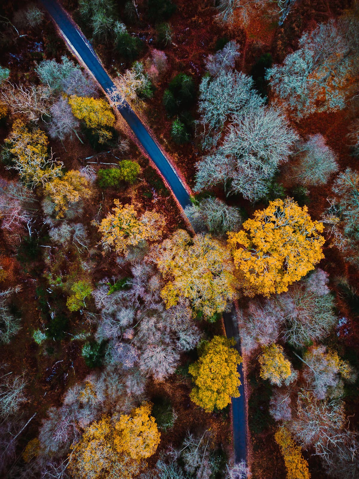Drone photography by Taylor Hughes