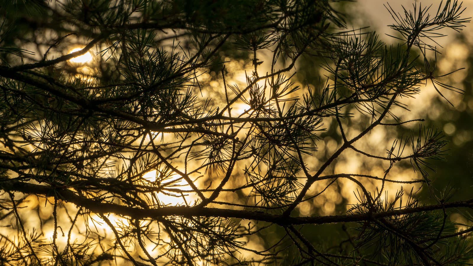 Sunrise and Sunset photography by Taylor Hughes
